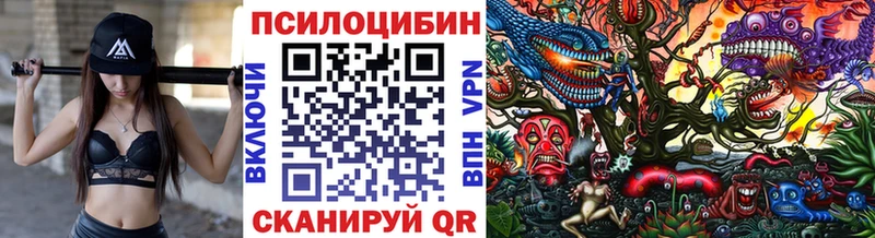 Псилоцибиновые грибы ЛСД  Кстово 